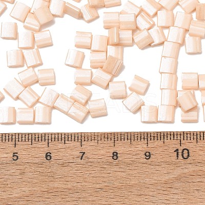 MIYUKI TILA Beads X-SEED-J020-TL593-1