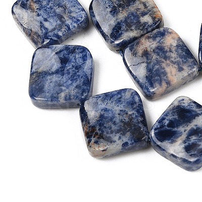 Natural Blue Spot Jasper Beads Strands G-L239-17-1