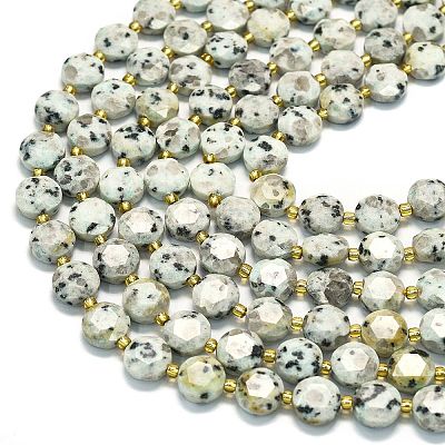 Natural Sesame Jasper Beads Strands G-C116-A141-01-1