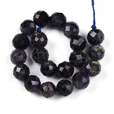Natural Cordierite/Iolite/Dichroite Beads Strands G-S345-10mm-27-1