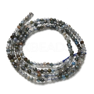 Natural Apatite Beads Strands LS-G-RM2025-A23-2mm-1