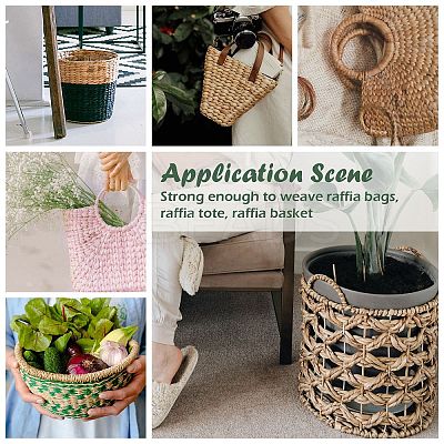 Raffia Ribbon SENE-PW0003-104I-1