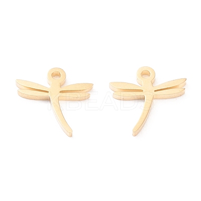 304 Stainless Steel Charms STAS-I151-10G-1