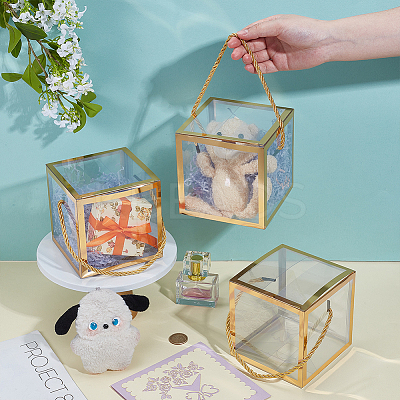 Foldable Hot Stamping Transparent PVC Packaging Boxes CON-WH0123-24A-02-1