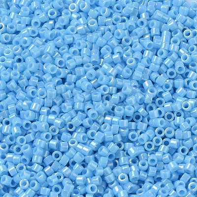 MIYUKI Delica Beads SEED-J020-DB0215-1
