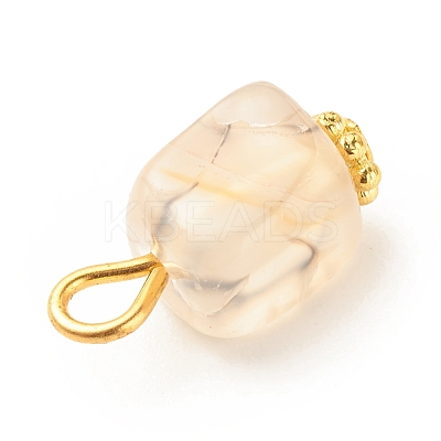 Natural Agate Pendants PALLOY-JF01586-04-1