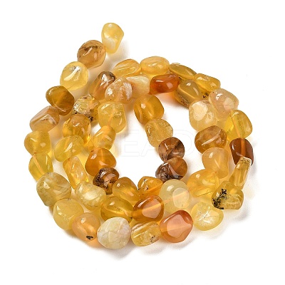 Natural Yellow Opal Beads Strands G-P497-01E-34B-1