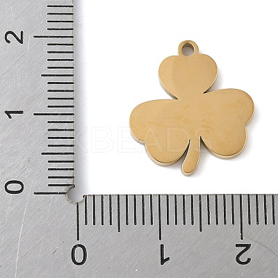 304 Stainless Steel Enamel Pendants LS-STAS-K312-02A-G-1