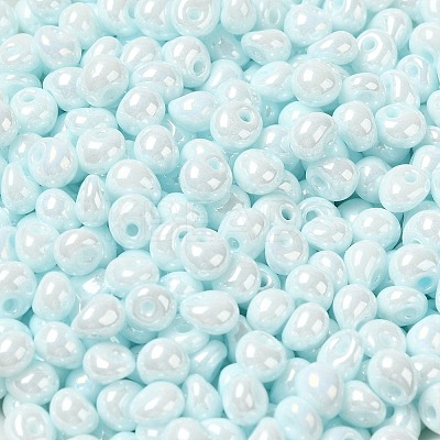 6/0 Glass Seed Beads SEED-M012-01A-13-1