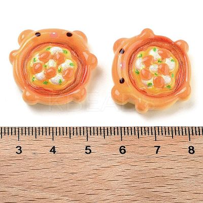 Opaque Resin Imitation Food Decoden Cabochons RESI-S405-06D-1