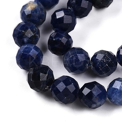 Natural Sodalite Beads Strands G-S345-10mm-26-1