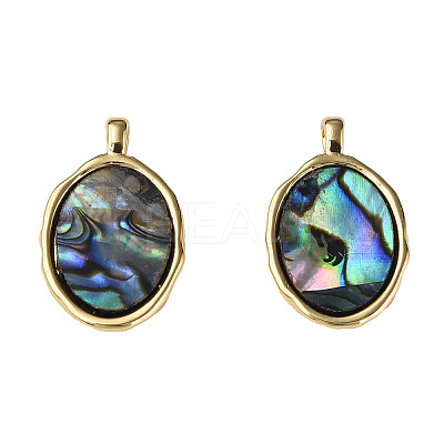 Synthetic Abalone Shell/Paua Shell Pendants X-KK-N233-254-1