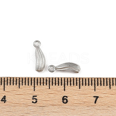 Vegetables 304 Stainless Steel Charms STAS-G356-06P-06-1