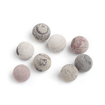 Natural Petrified Wood Beads G-I274-10-1