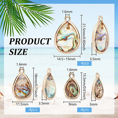 12Pcs 3 Styles Natural Paua Shell Pendants SHEL-BC0001-038-1