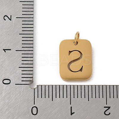 304 Stainless Steel Charms LS-STAS-R001-01G-S-1