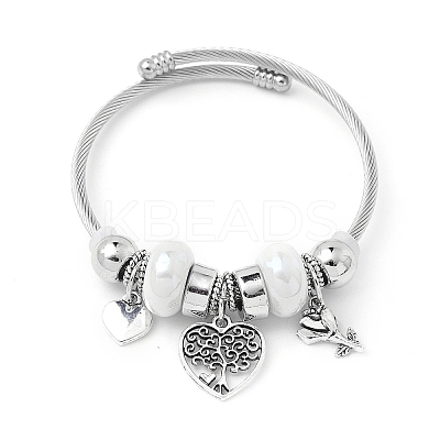 European Style Stainless Steel & Alloy Charm Bangles for Women PW-WG243C0-03-1