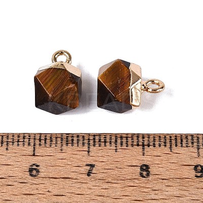 Natural Tiger Eye Pendants G-N359-18G-03-1