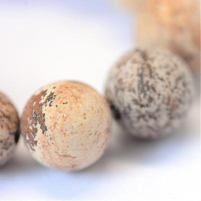 Frosted Natural Picture Jasper Round Bead Strands G-E334-8mm-26-1
