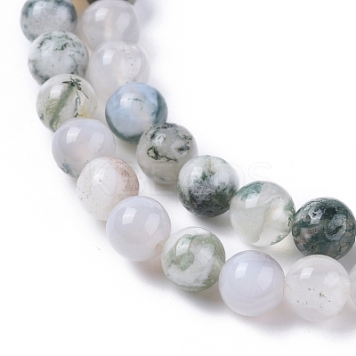 Natural Tree Agate Beads Strands X-G-L533-22-1