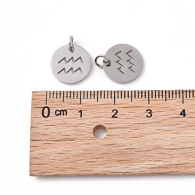 Non-Tarnish 304 Stainless Steel Charms STAS-Q201-T445-11S-1