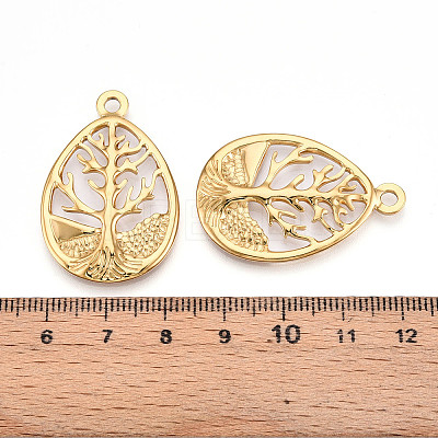 304 Stainless Steel Pendants STAS-N109-82G-1