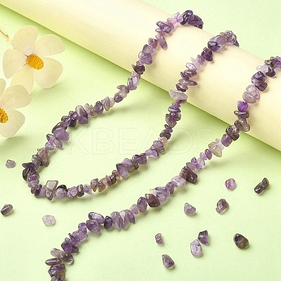 Natural Amethyst Chip Beads Strands G-YW0002-09-1