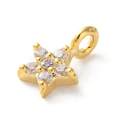 Brass Micro Pave Cubic Zirconia Charms LS-KK-S513-09B-G-1
