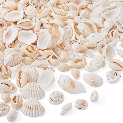 DIY Natural Shell Jewelry Making Finding Kits DIY-BT0001-37-1