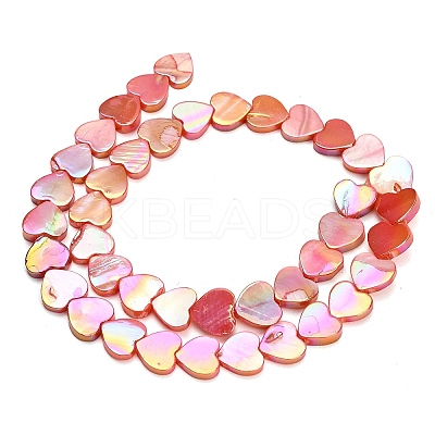 Natural Freshwater Shell Beads Strands SH-CBA93AD-06C-1