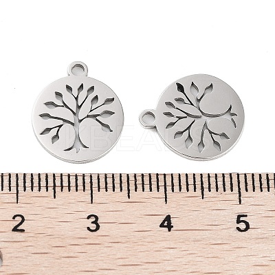 Non-Tarnish 316 Surgical Stainless Steel Charms STAS-C096-11A-P-1