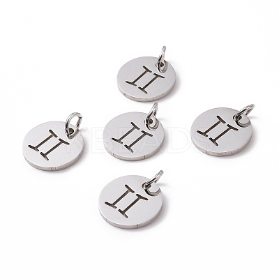 Non-Tarnish 304 Stainless Steel Charms STAS-Q201-T445-3S-1