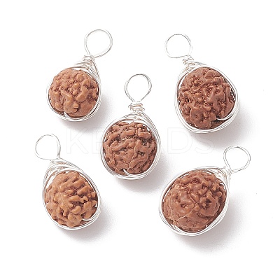 Natural Rudraksha Copper Wire Wrapped Pendants PALLOY-JF02066-01-1