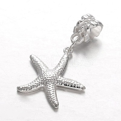 Alloy European Dangle Charms LS-MPDL-E045-10-1