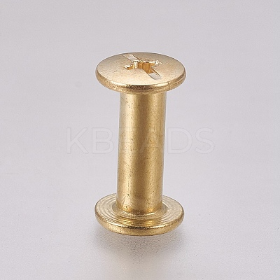 Iron Screw Rivets IFIN-WH0051-09B-G-1