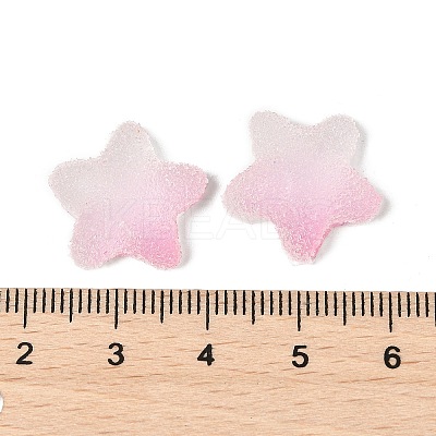 Imitation Candy Food Style Resin Cabochons X1-RESI-R461-02K-1