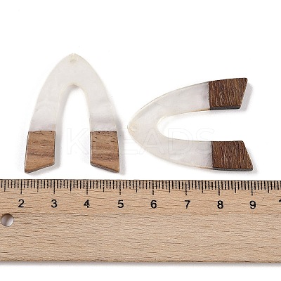 Resin & Wood Pendants WOOD-F015-16H-1