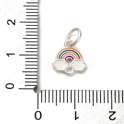 925 Sterling Silver Colorful Enamel Charms STER-C014-02B-S-1