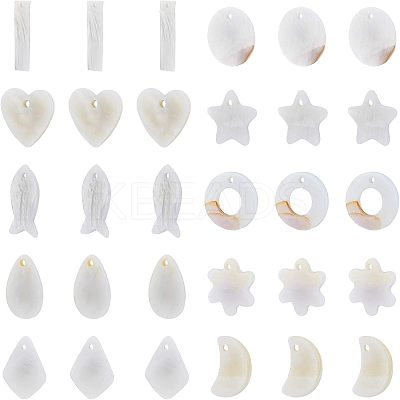 Natural Freshwater Shell Charms/Pendants SHEL-NB0001-03-1