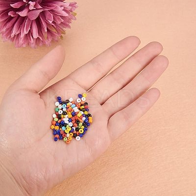 8/0 Round Glass Seed Beads SEED-PH0005-02-1