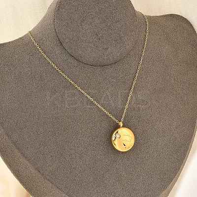 304 Stainless Steel Clear Cubic Zirconia Constellation Pendant Necklaces NJEW-R021-02G-07-1
