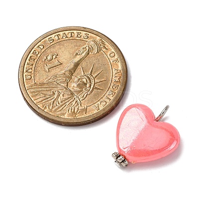 Opaque Acrylic Pendants PALLOY-JF04421-02-1
