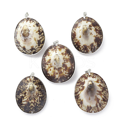 Natural Sea Shell Big Pendants SHEL-F005-05P-1