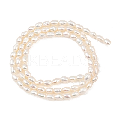 Natural Cultured Freshwater Pearl Beads Strands PEAR-F020-17-1