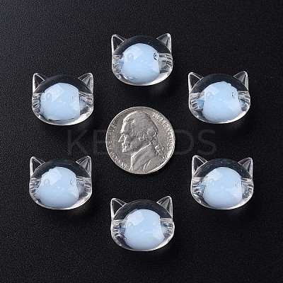 Transparent Acrylic Beads X1-MACR-S373-115-B08-1