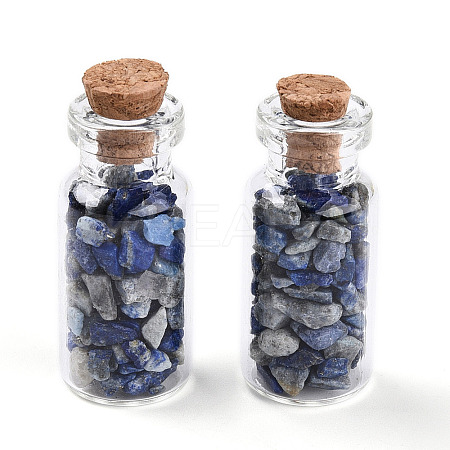 Glass Wishing Bottle Display Decorations AJEW-T013-02E-1