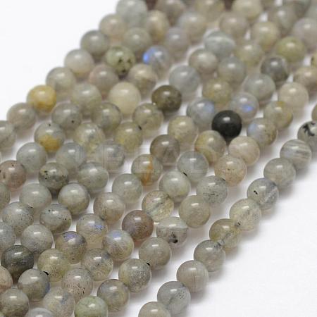 Natural Labradorite Beads Strands G-P322-29-4mm-1