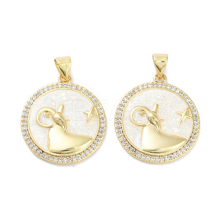 Brass Micro Pave Clear Cubic Zirconia Pendants KK-L213-010G-05-1