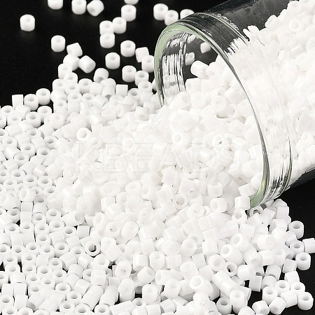 Cylinder Seed Beads X-SEED-H001-H24-1