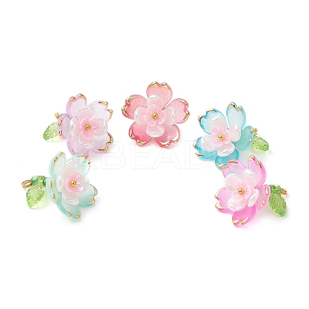 Transparent Acrylic Pendants PALLOY-MZ00822-1